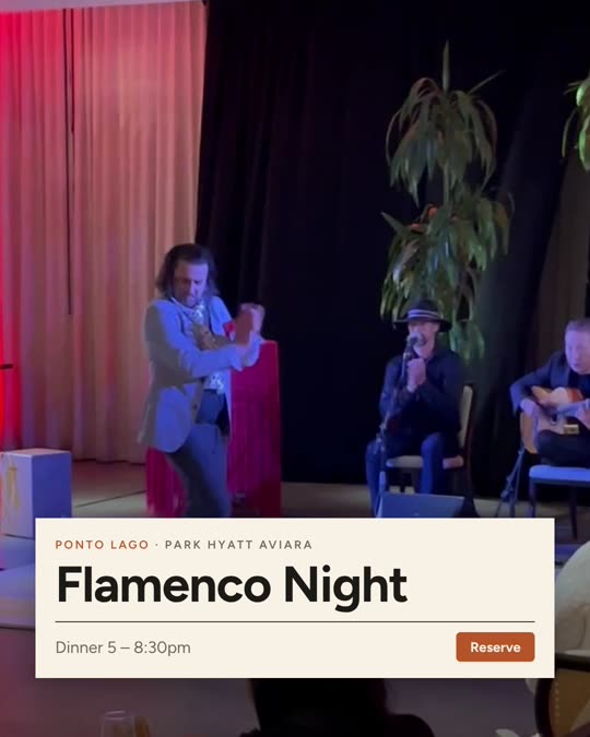 Flamenco Night — Ponto Lago, Editorial look