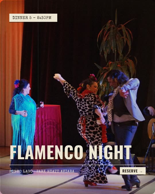 Flamenco Night — Ponto Lago, Newsreel look