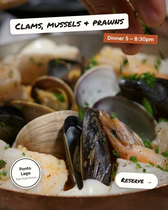 Clams, mussels & prawns — Ponto Lago, Sticker look