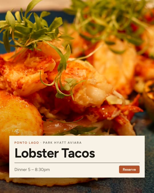 Lobster Tacos — Ponto Lago, Editorial look