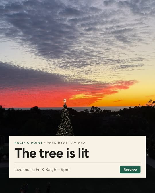 The tree is lit — Pacific Point, Editorial look